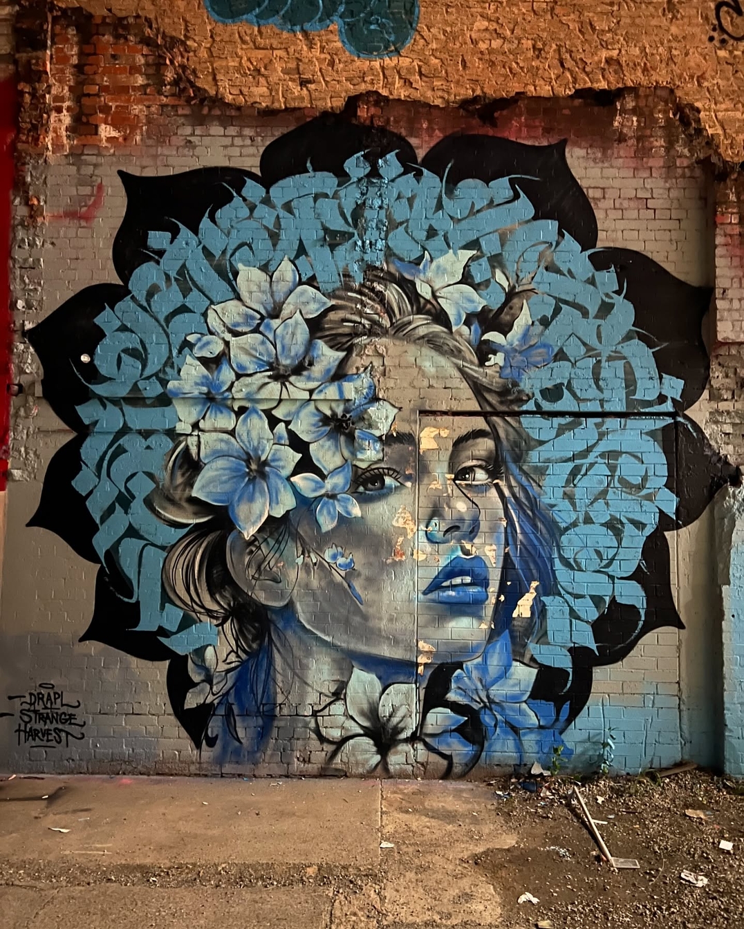 Detailed mural of a woman’s face surrounded by blue flowers and abstract designs, painted in soft blue and black tones on a brick wall in Brisbane, Australia.