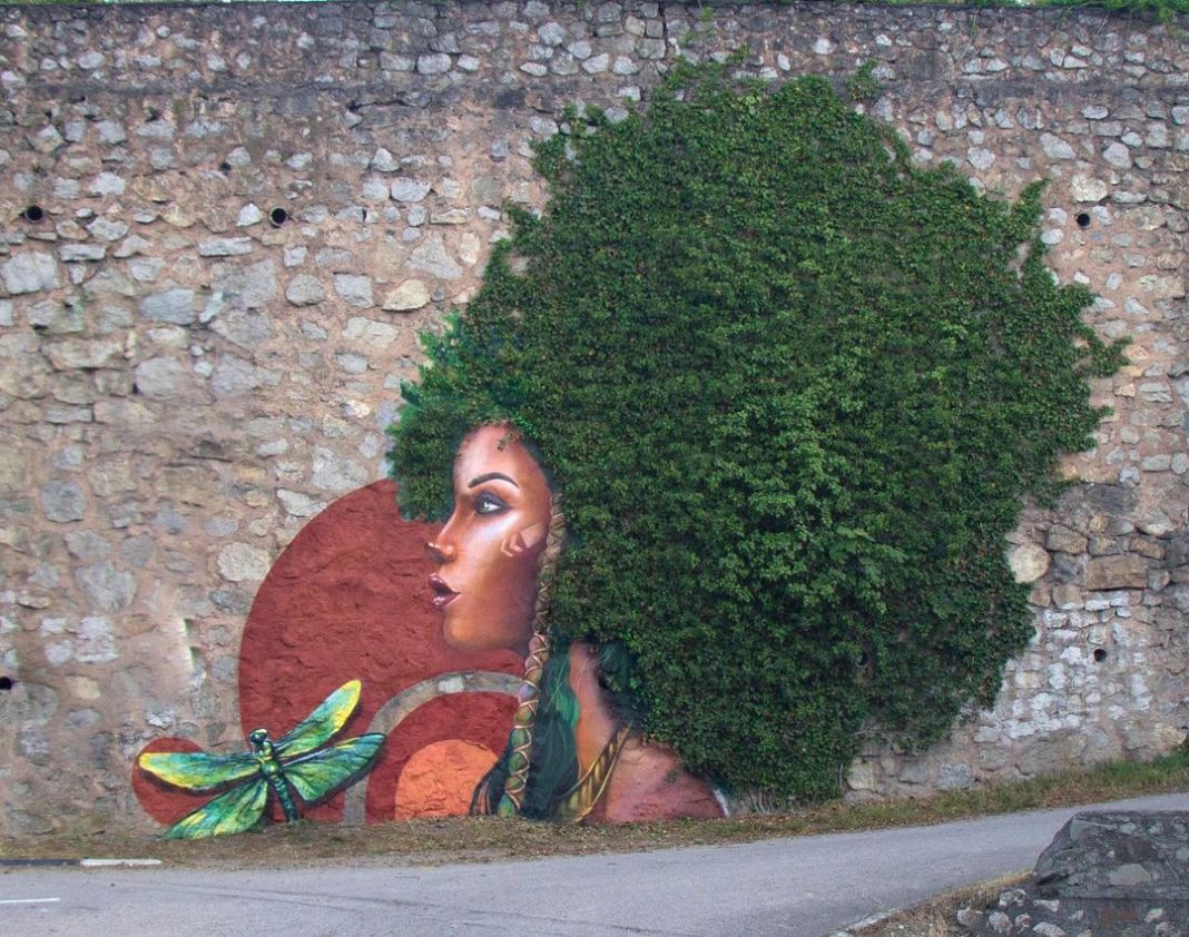 Image/photo