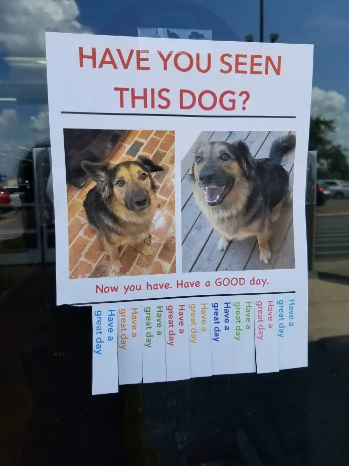 601237