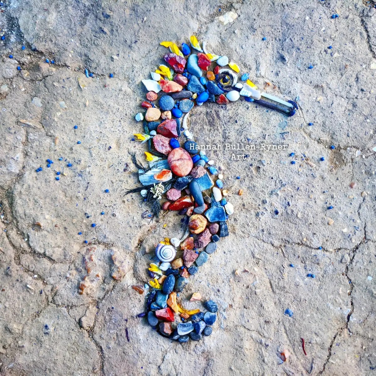 A seahorse created by Hannah Bullen-Ryner using a collection of tiny natural materials arranged intricately on the ground. The seahorse’s body is crafted from a variety of small stones, pebbles, and colorful elements, including red, blue, and yellow petals, shells, and bits of organic debris. The mix of vibrant and earthy tones captures the delicate form of a seahorse with careful attention to detail. Each piece is purposefully selected, demonstrating the artist's meticulous search for materials and dedication to reusing and preserving her collection. This ephemeral artwork reveals the artist’s unique process, bringing a whimsical, miniature ocean creature to life in a natural setting.