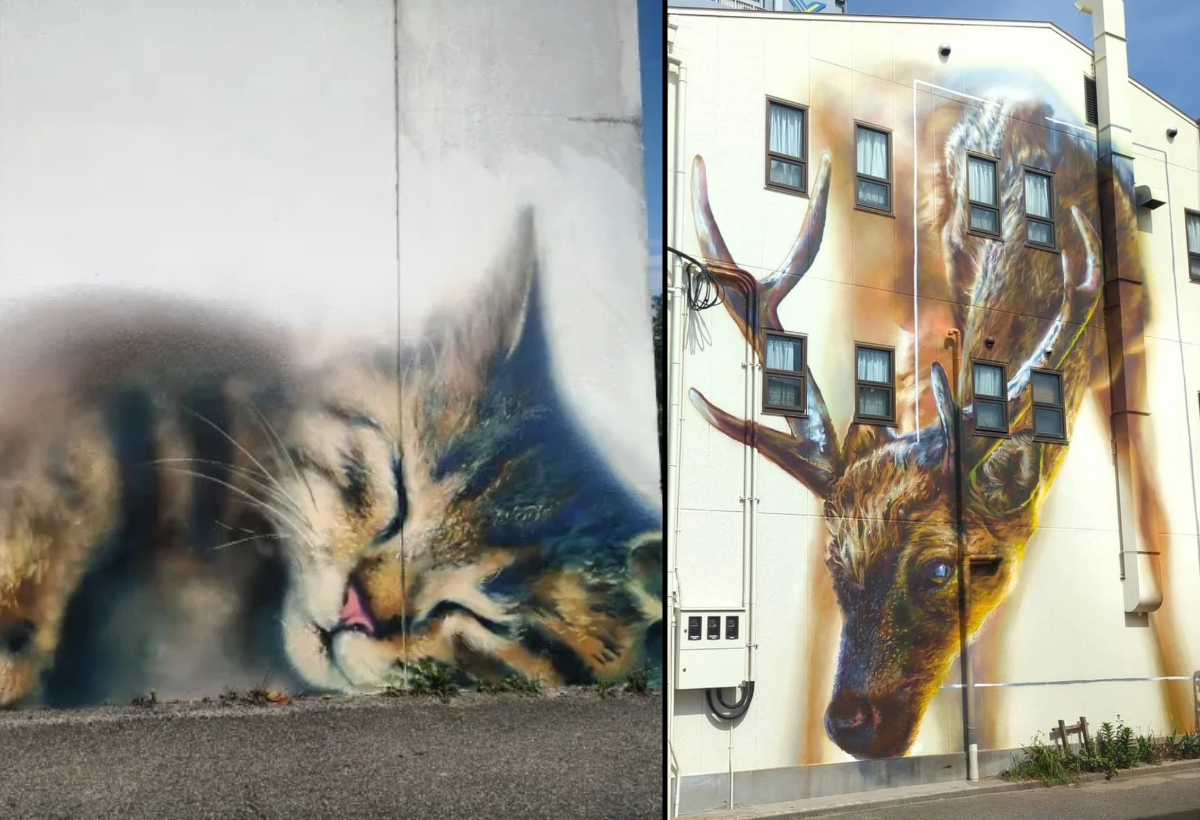 Side-by-side murals by Jack Lack: on the left, a hyperrealistic painting of a sleeping tabby cat with closed eyes and a pink nose blending into a white wall in Grenoble, France; on the right, a towering mural of a stag with large antlers integrated into the windows and structure of a building in Osaka, Japan, painted in warm brown and golden tones.