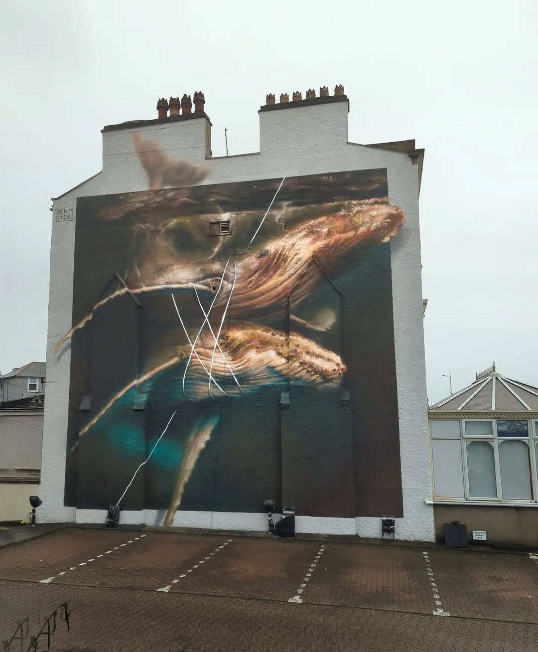 Immense mural of two whales swimming side by side, painted on a building in Weston-super-Mare, UK. The whales are rendered with realistic textures and are intersected by white lines resembling sonar or entanglement, evoking depth and underwater motion.