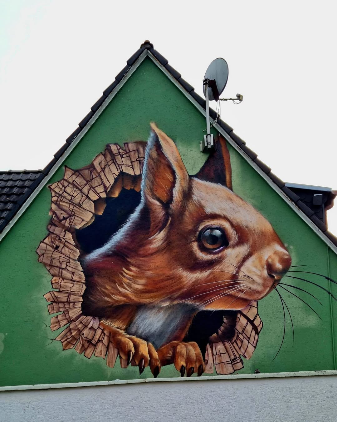 A realistic 3D-style mural of a squirrel appearing to break through a wall, with painted wooden planks and debris adding to the illusion. The squirrel’s fur texture and large expressive eyes enhance its lifelike quality.