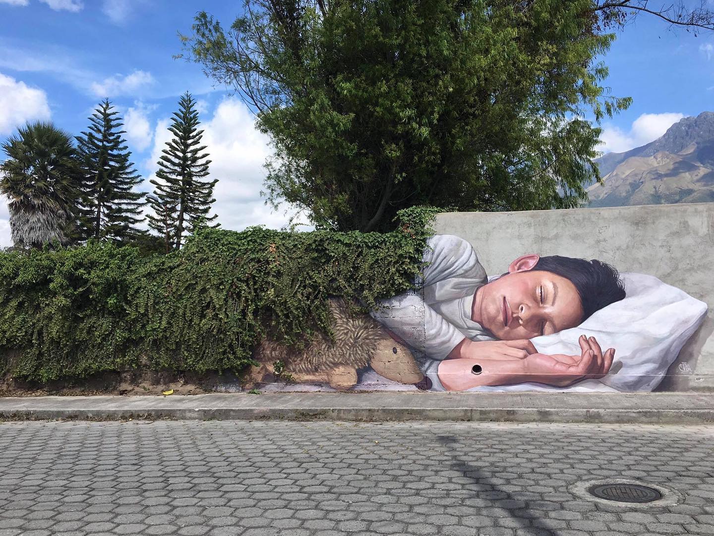 Realistic mural of a sleeping boy partly covered by living ivy used as a blanket, painted on a concrete wall next to a sidewalk with trees and mountains in background.