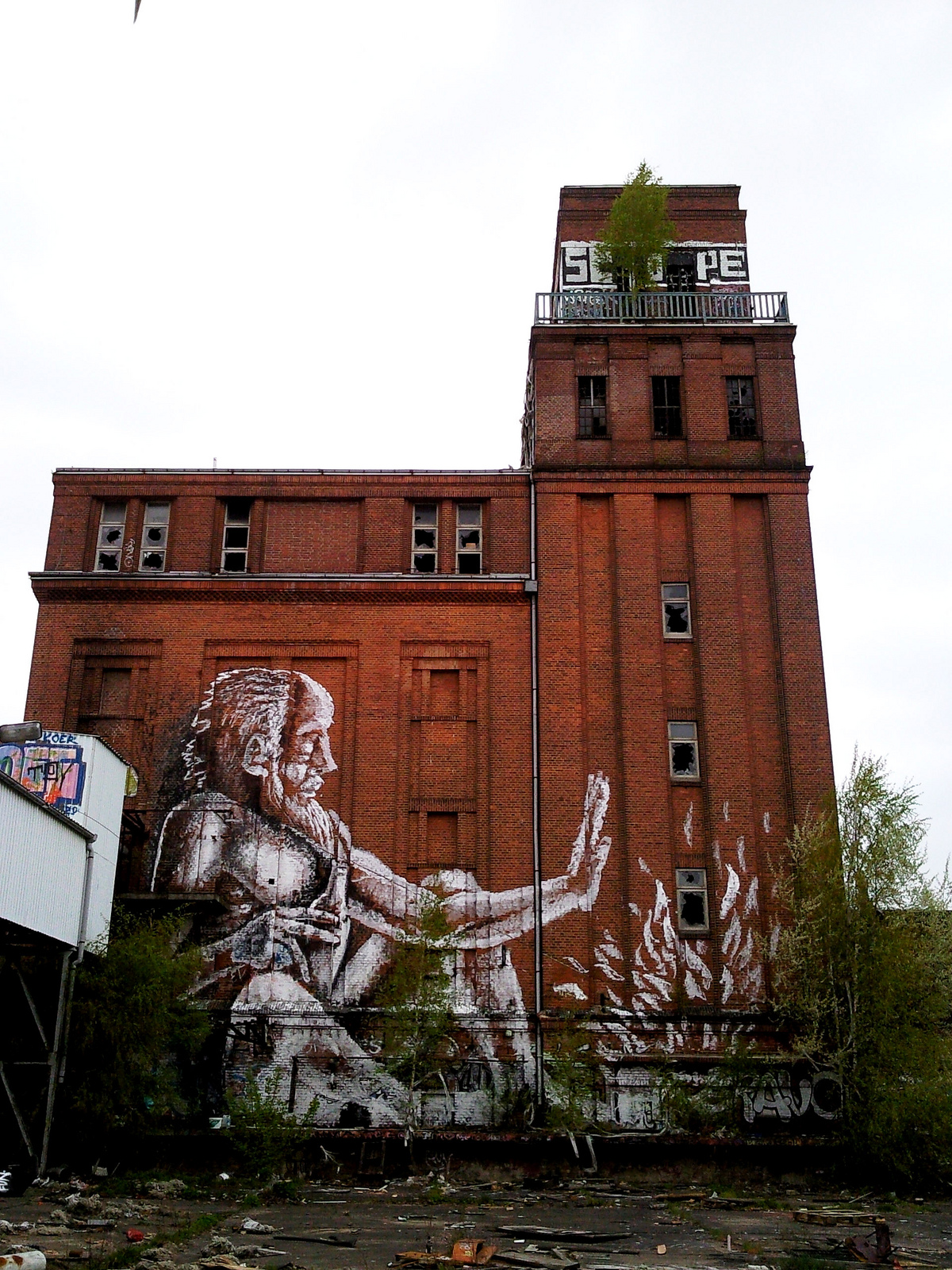 Street Art by Alaniz 1
