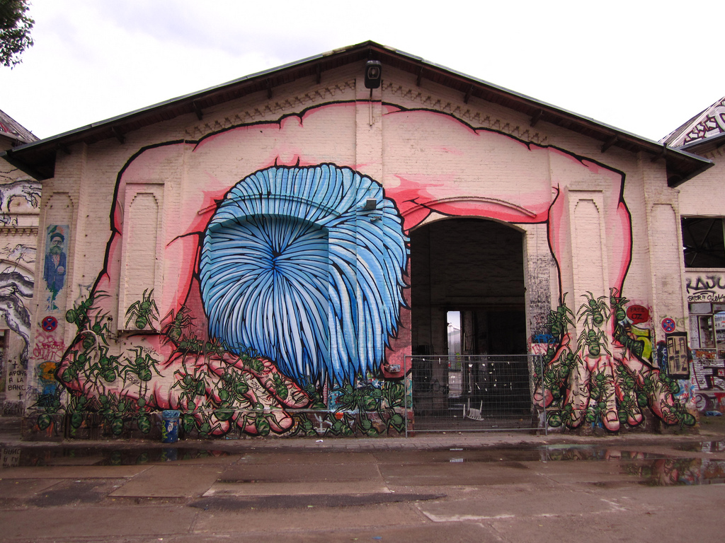 Street Art by Alaniz 7