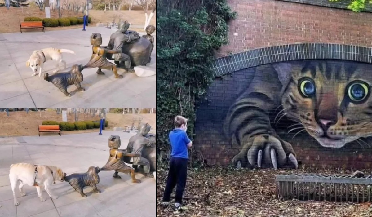 A captivating collection of 8 incredible street art murals, graffiti, and 3D illusions from around the world guaranteed to make you smile. Discover playful urban art and creative public masterpieces.