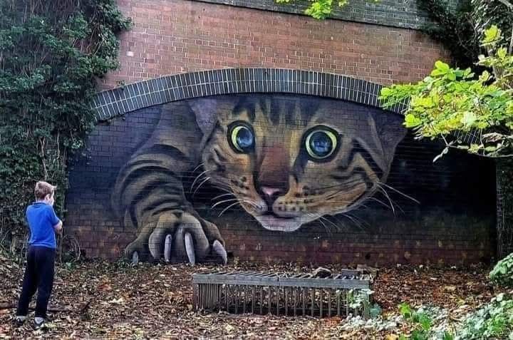 3D mural of a large cat looking out from under a brick archway by Andy Dice Davies.
