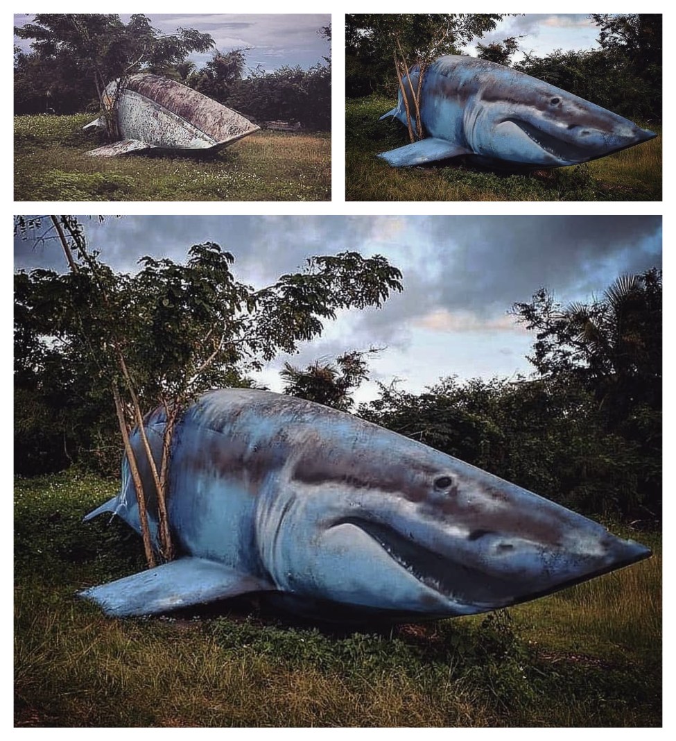 A blue shark painted onto a beached boat so it looks like a giant shark stranded on land.