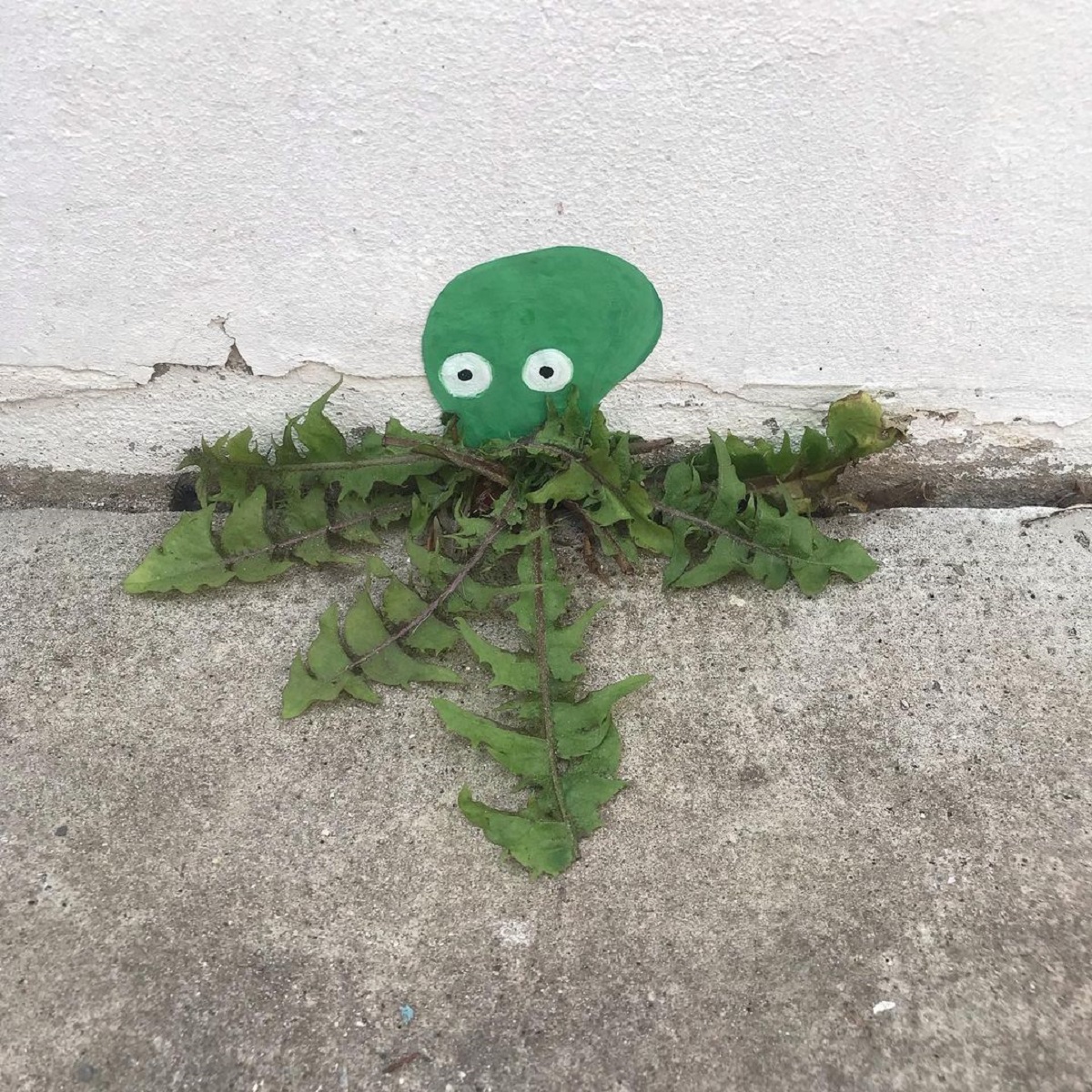 Tiny green octopus street art by Sandrine Boulet with real weeds and roots forming its tentacles from a wall crack.
