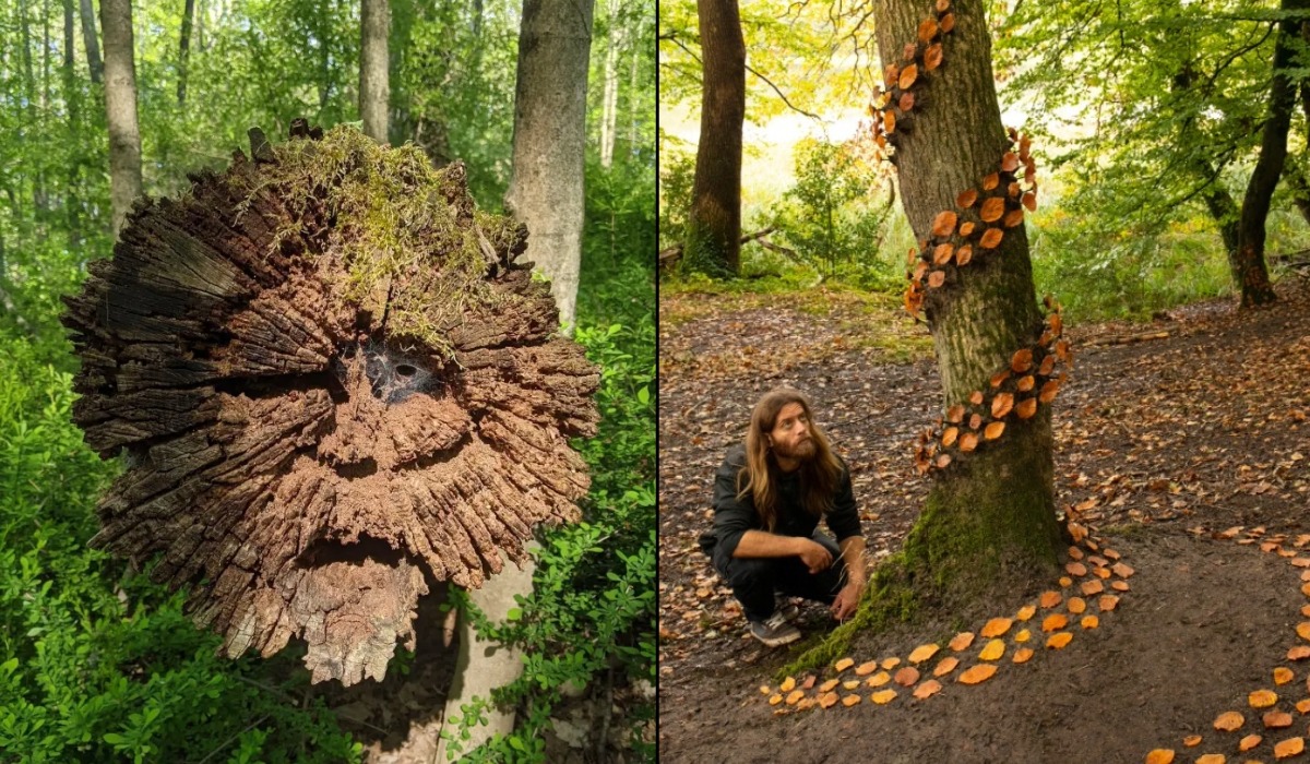 Split image of tree art, with a rough wooden face on a forest stump and orange leaves arranged in a spiral around a tree trunk.