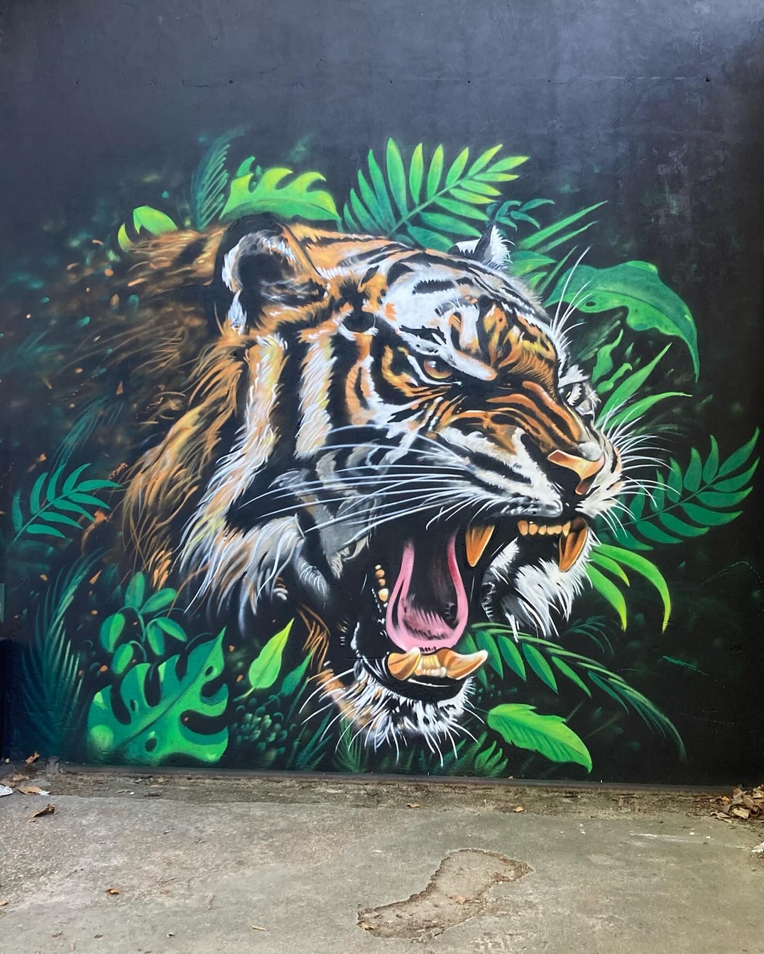 Mural of a roaring tiger with mouth open, surrounded by vibrant green jungle leaves and shadows, painted in high contrast on a dark background wall in Montevideo, Uruguay.