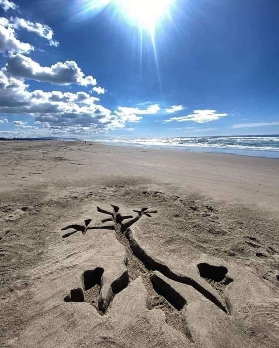 A hilarious beach street art sand sculpture by PUFFERFISH. The Looney Tunes character Wile E. Coyote is carved to look flattened underground on a sunny beach. It is a brilliant optical illusion and temporary nature art.