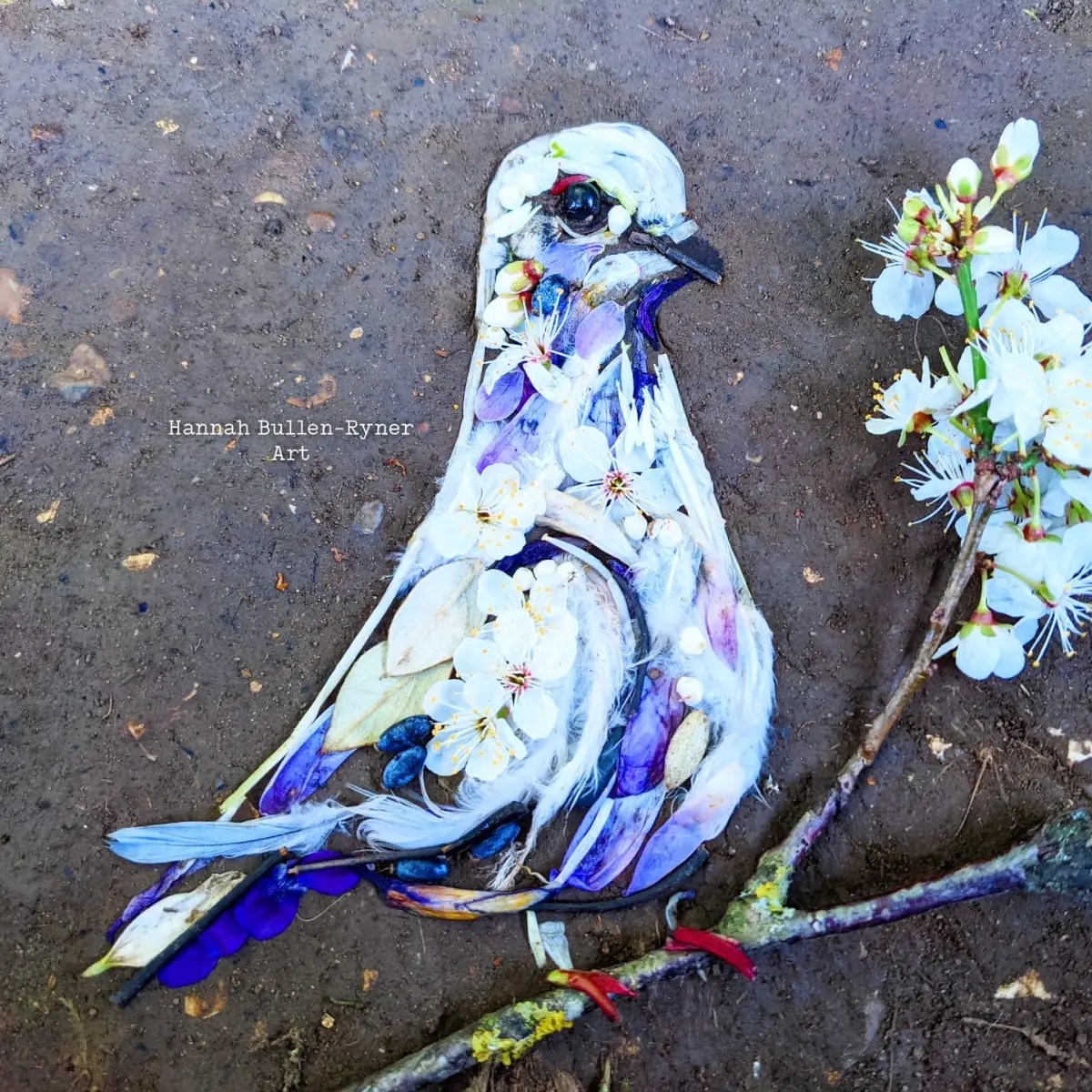 A delicate peace dove ephemeral street art piece created by Hannah Bullen-Ryner using found natural materials like blossoms and leaves.