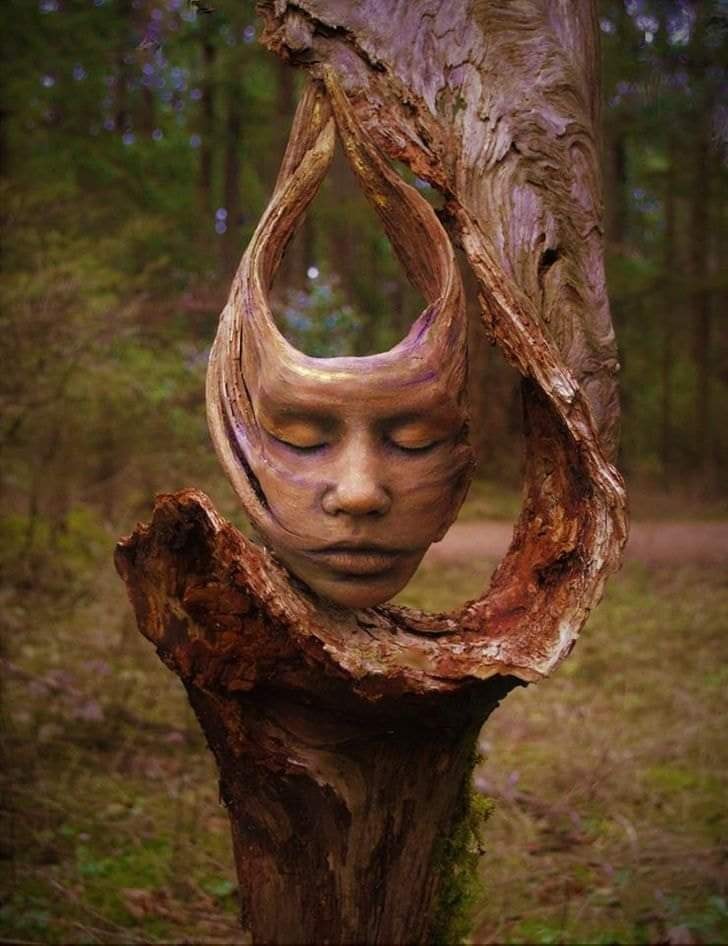 A beautiful natural sculpture by Debra Bernier in Victoria, Canada, where driftwood is transformed into a serene human face.