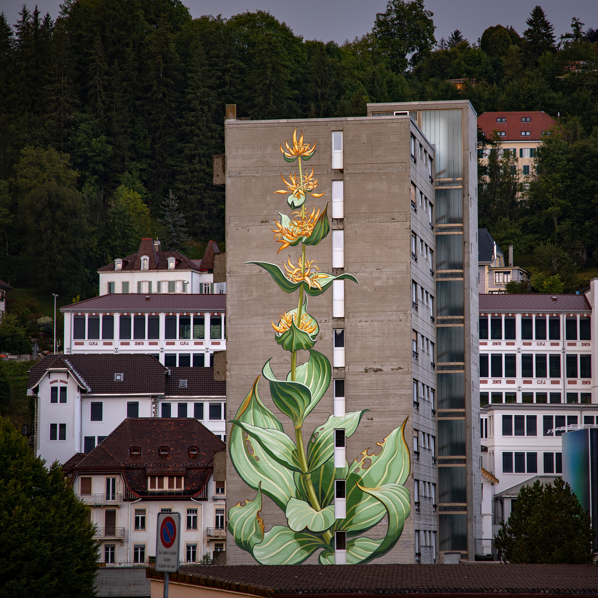 Monumental botanical street art mural by Mona Caron in Switzerland, featuring a single large Gentiana Lutea plant climbing a building.