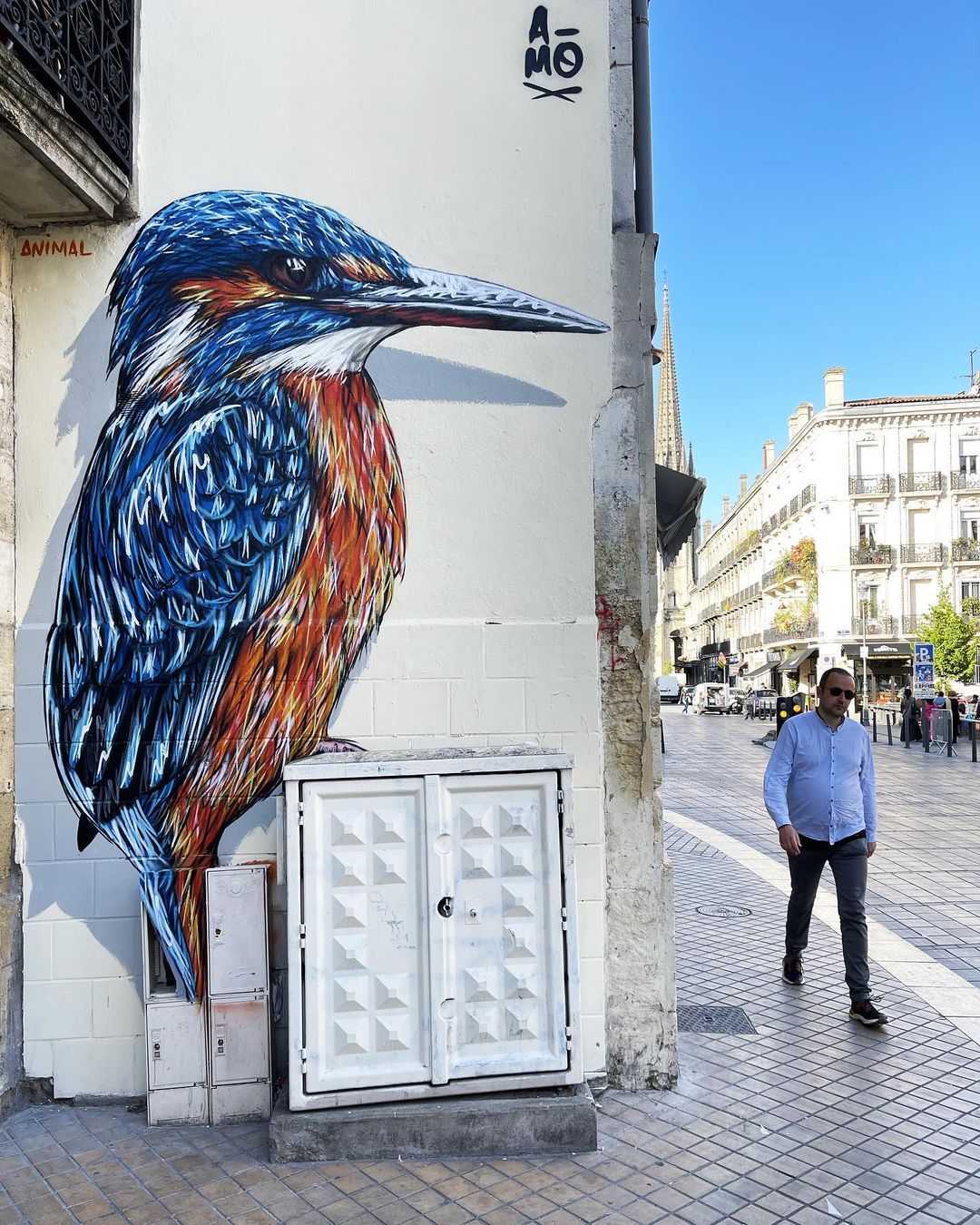 Beautiful and expressive street art mural of a kingfisher by A-MO in Bordeaux, France.