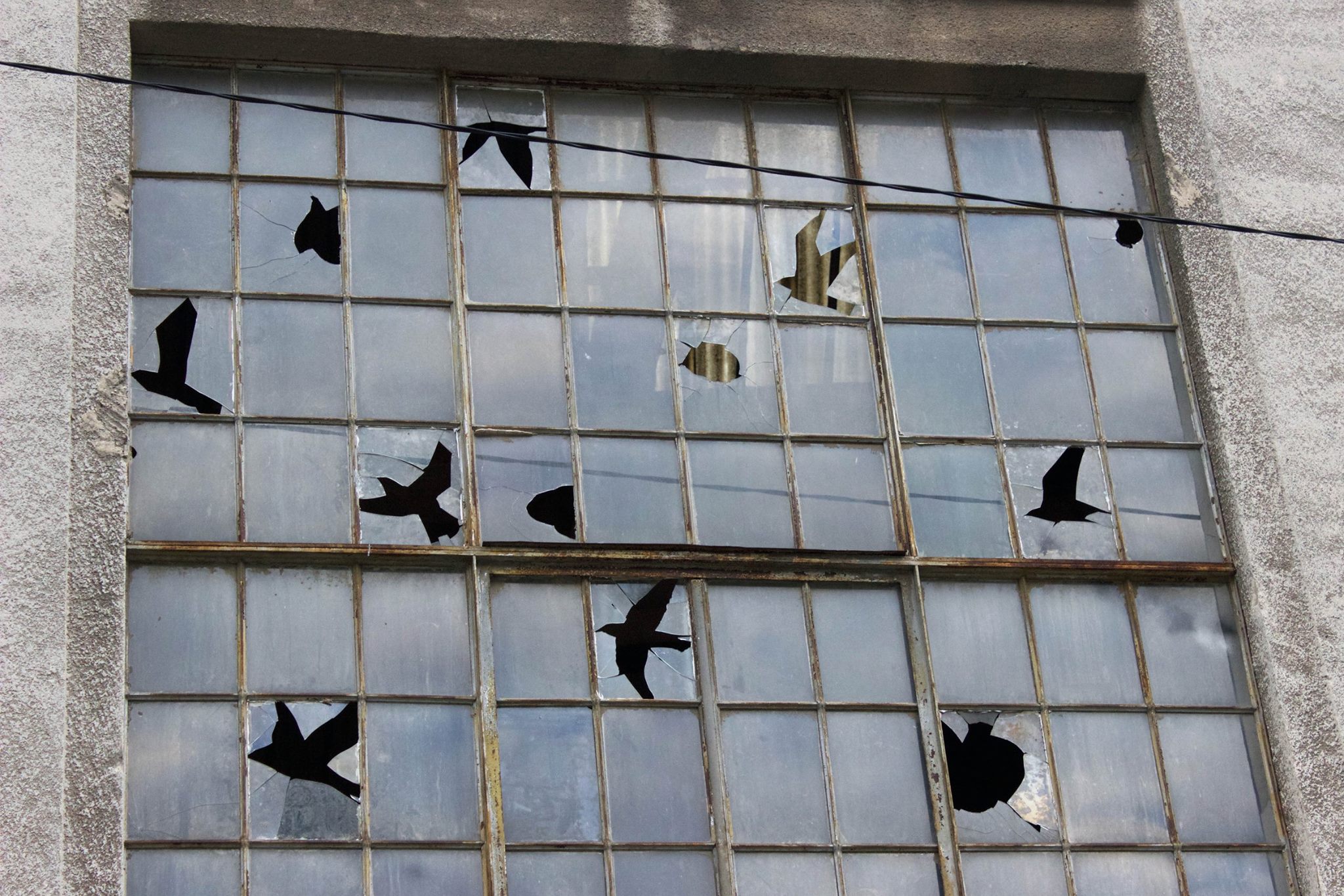 Street Art by Pejac in Croatia, Rijeka - 'Camouflage' Tribute to René Magritte 1