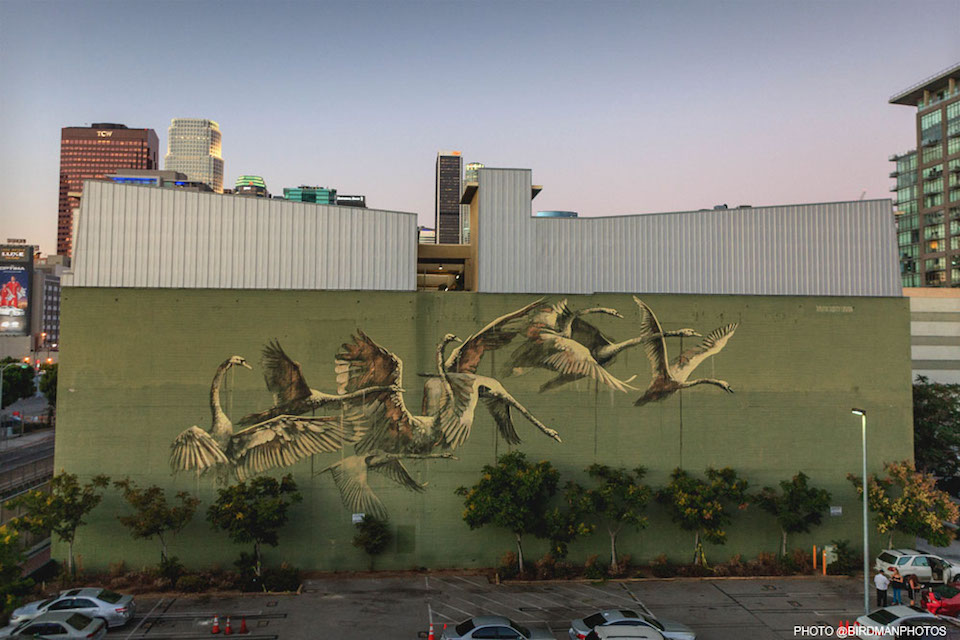 Street Art by Faith 47 in Los Angeles, USA 2