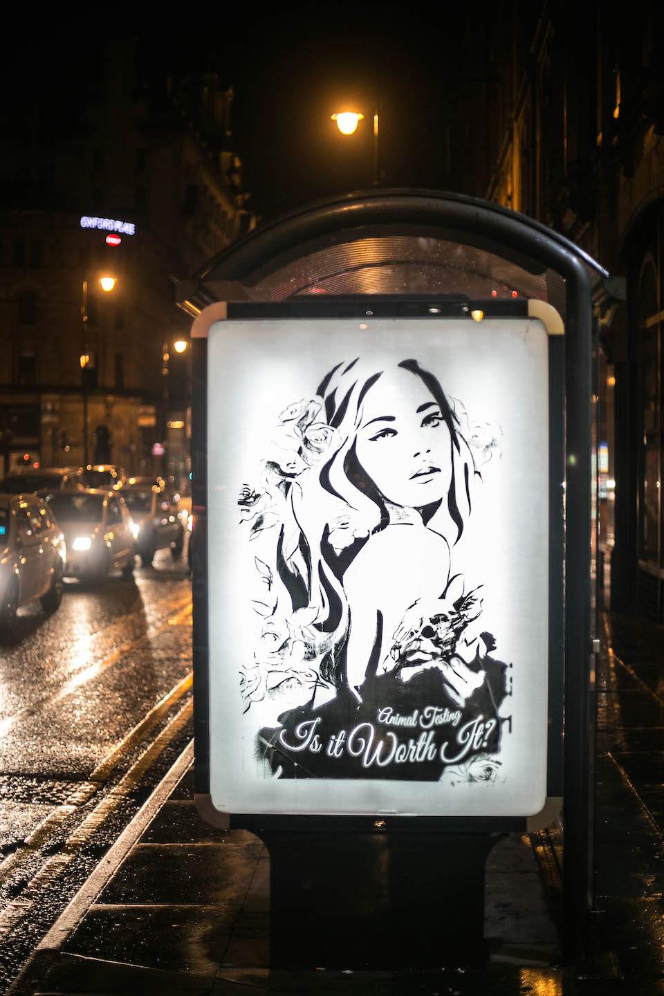 Brandalism - In Manchester. By Hannah Adamaszek