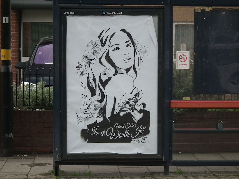 Brandalism - In Birmingham. By Hannah Adamaszek