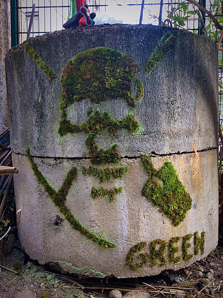 Moss Graffiti by GREEN in Lyon, France 2