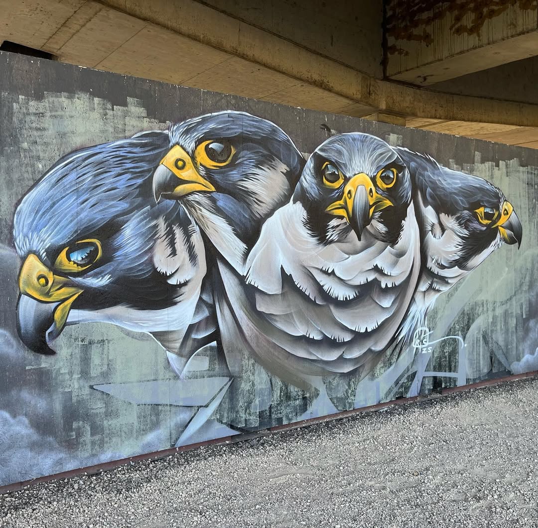 Mural of a three-headed falcon by Thomas Maris in Wevelgem, Belgium. Each head features sharp yellow beaks and intense eyes, with a grey-blue gradient background suggesting fog and steel structures beneath an overpass.