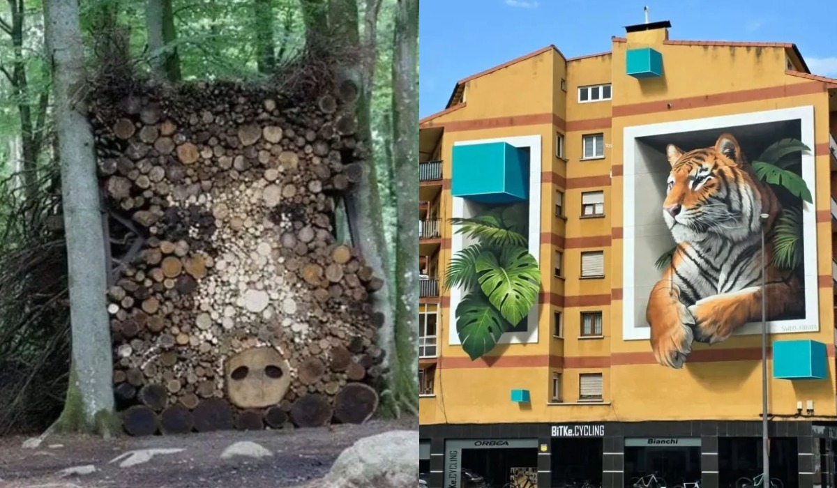 A creative log sculpture resembling a bear face in a forest setting, contrasted with a colorful mural of a tiger surrounded by tropical leaves on a building.