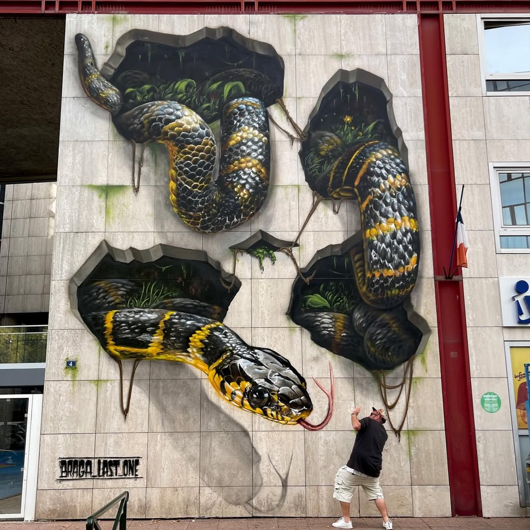 3D snake mural appearing to burst through a wall