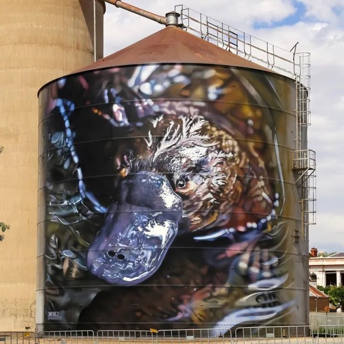 Hyper-realistic platypus mural on a grain silo