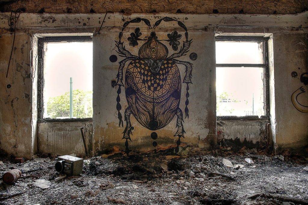 Image/photo