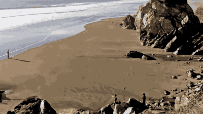 Image/photo