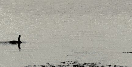 Image/photo