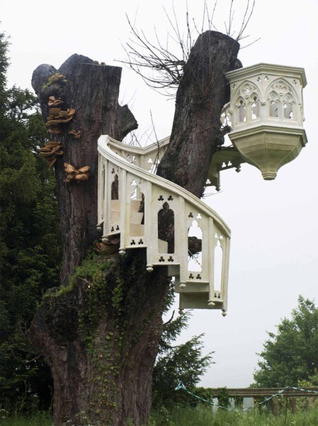 Image/photo
