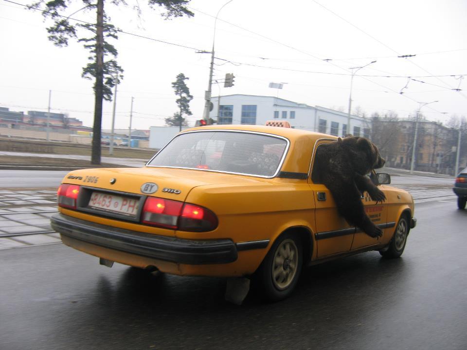 Image/photo