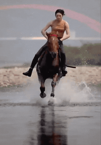 Image/photo