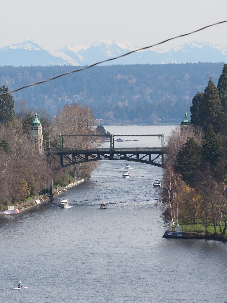 Montlake Bridge and Cut