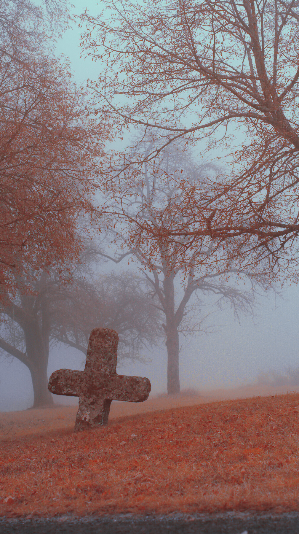 Four pics of a concilliation cross among trees in dense fog