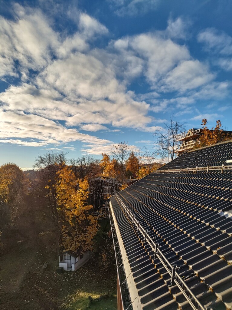 Photo: Partly cloudy blue sky in the top half, backyard with leaf-covered green grass, a small white playhouse, and a bunch of trees in various stages of fall colors in the bottom left, and the roof of my house in the bottom right. Feels cold and still.