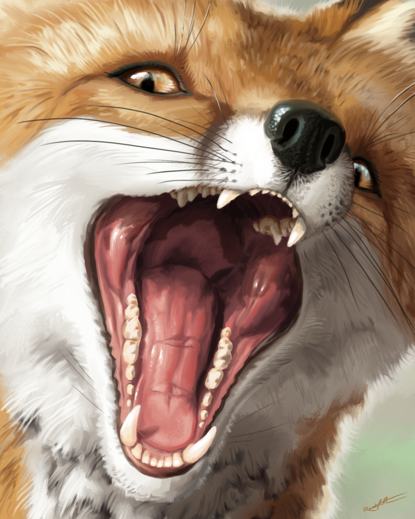 A digital painting of a fox looking hungrily at the viewer with mouth wide open.