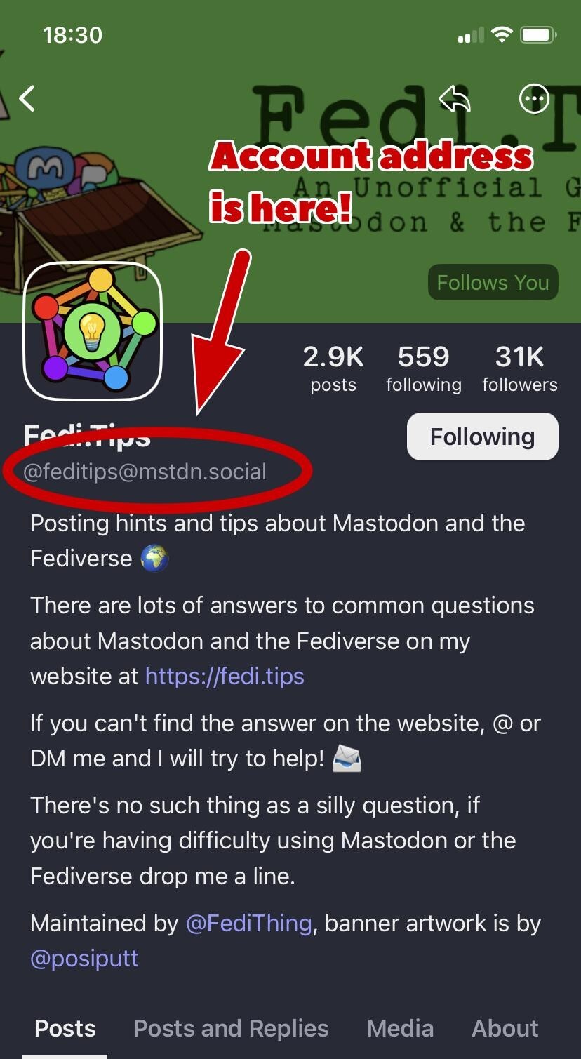 Screenshot of a Mastodon profile page with the account address highlighted.