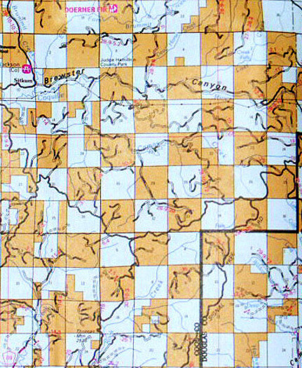 Checkerboard land use pattern