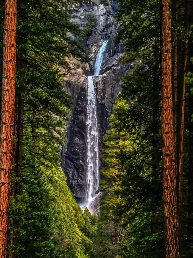 Normally I would describe a photograph from the foreground into the background. In this case I will do the opposite. 
Also I don't normally place the main subject dead center. But in this case the main subject is Lower Yosemite Falls in beautiful Yosemite National Park. 
The falls are flowing at a reduced flow as it's early spring and early morning. The snow that feeds the creek at elevation melts slower at night and reduces the flow. 
On both sides of the falls beautiful green Douglass Fir frame the falls and the granite cliffs. In the foreground 2 large Douglass Fir trunks frame the seen.