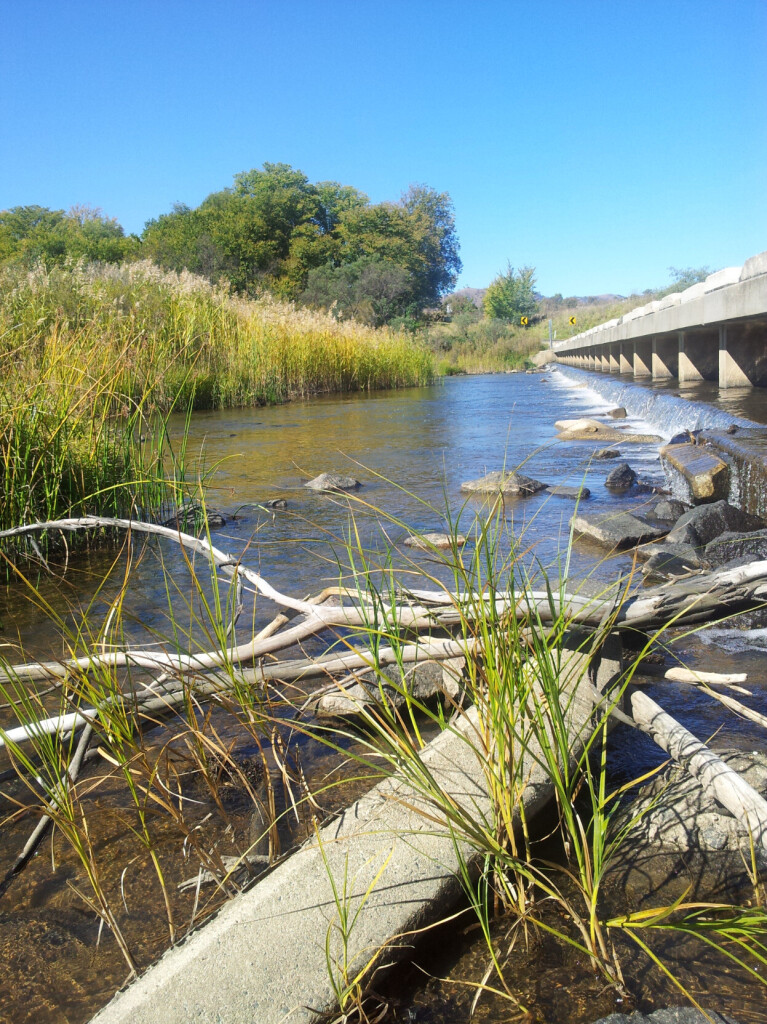 Murrumbidgee River at Point Hut Crossing - A low bridge stands less than a meter above an older causeway over which the river flows. The river is roughly 30 metres wide. Tall grass grows down into the shallow water, and gum trees can be seen in the distance.