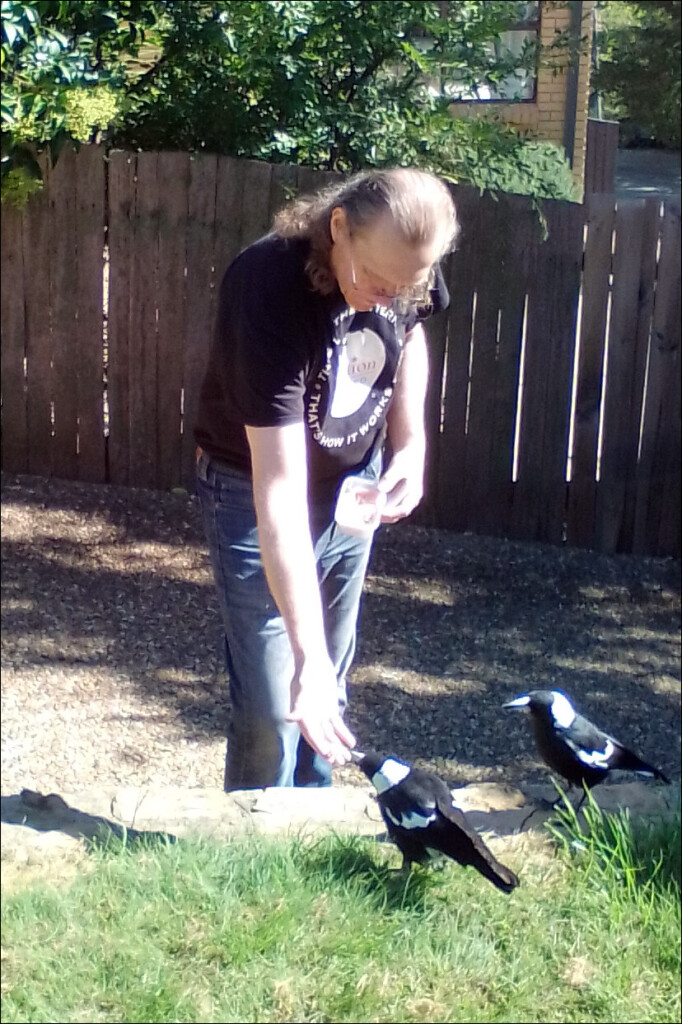 Myk feeding bacon rinds to the local magpies. Two magpies are taking turns to take a piece of bacon rinds from his hand. 