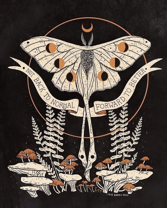 NOT BACK TO NORMAL FORWARD TO BETTER! Moth illustration with moon phase patern on wings, ferns and fungi along bottom. Banner running between moth and fungi reads, "NOT BACK TO NORMAL FORWARD TO BETTER"