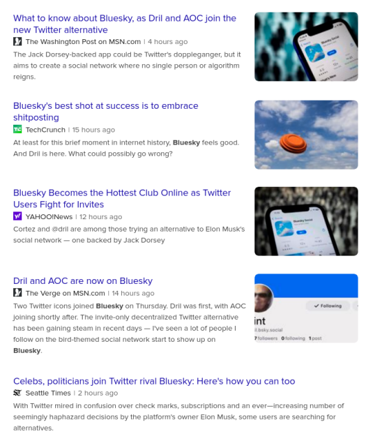 Screenshot of DuckDuckGo search results for Bluesky, Page 1
