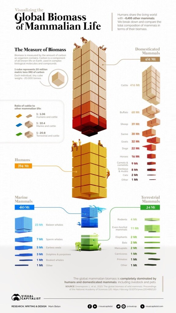 The Biomass of All the World’s Mammals by Mark Belan