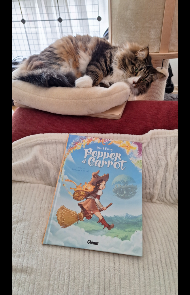 Au premier plan, le tome 1 de Pepper et Carrot. Au second plan, un chat aux poils très longs regarde la BD d'un air étonné et suspicieux.

On foreground, the first Pepper and Carrot comic book. 
On middleground, a brow tabby cat with long hair is looking at the book, both surprised and suspicious.