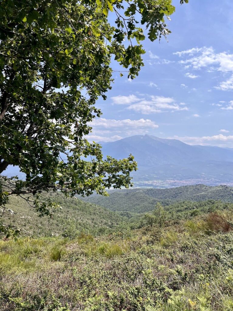 Distant view of the mountains of the Pyrenees. 